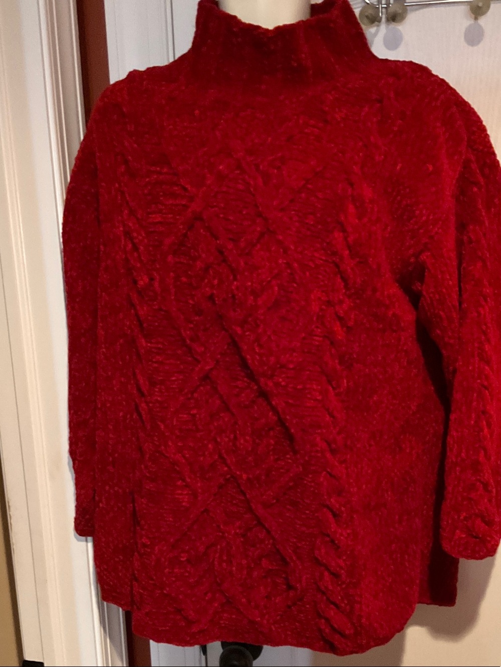 Express ladies sweater